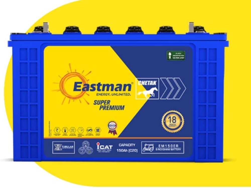 eastmen battery e rickshaw